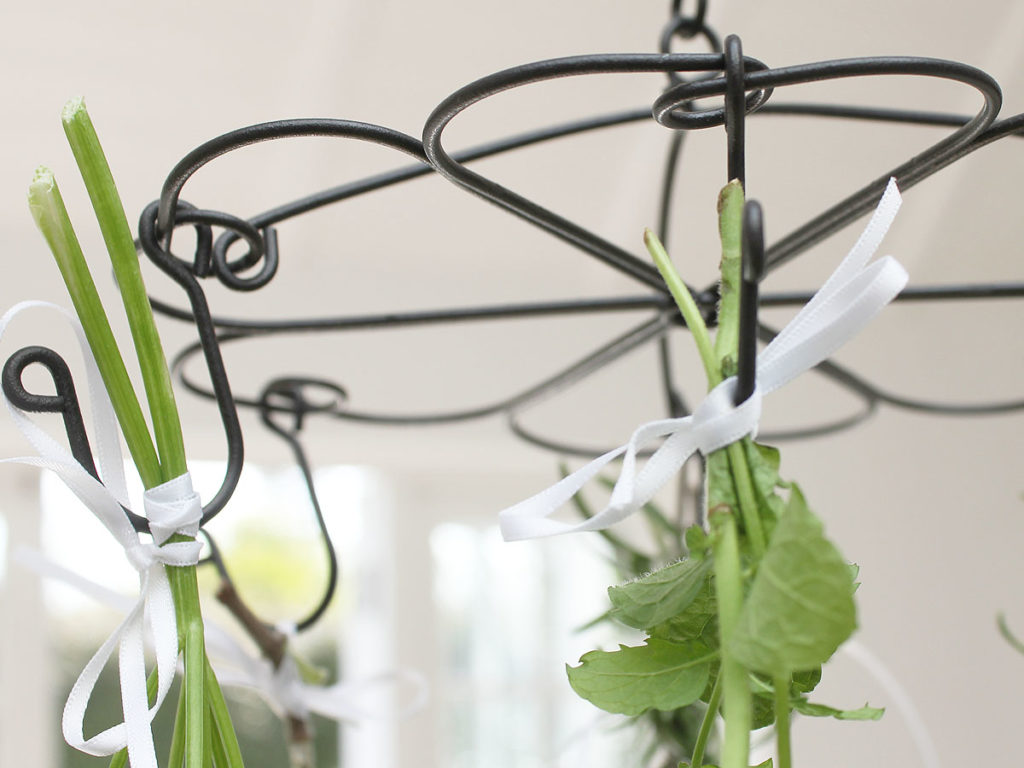 Iron Herb Dryer Hutton and Hutton