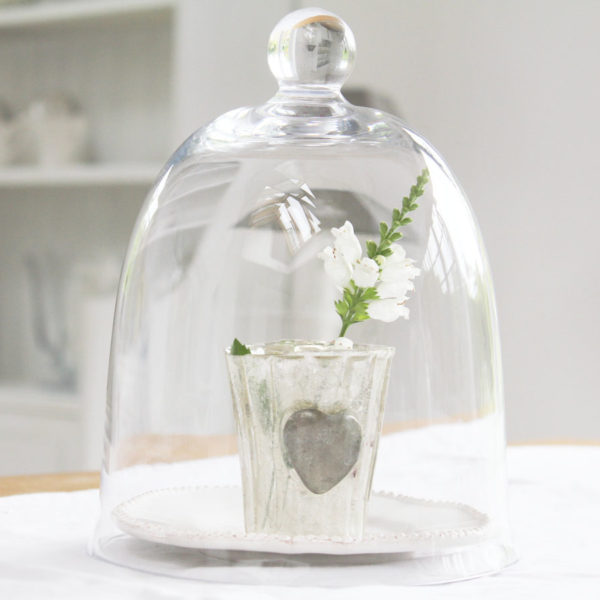 Large Glass Cloche Hutton and Hutton