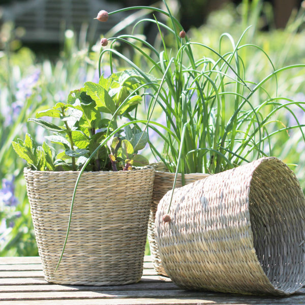 Large Seagrass Planter Hutton and Hutton