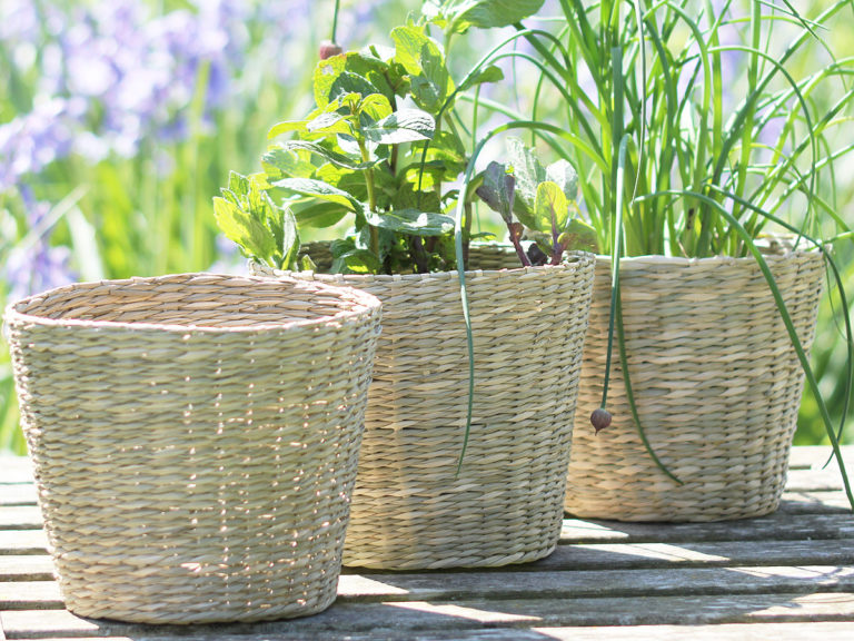 Medium Seagrass Planter Hutton and Hutton