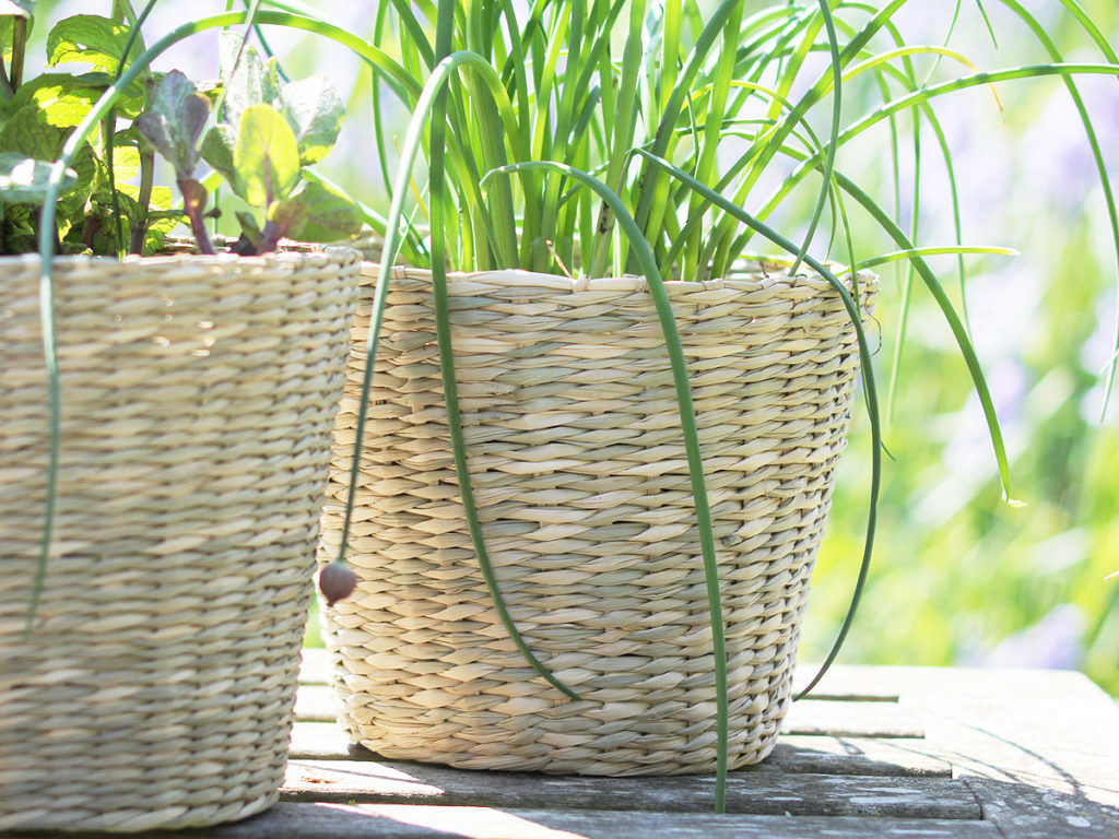 Large Seagrass Planter Hutton and Hutton