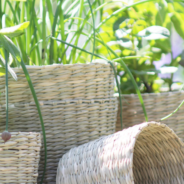 Large Seagrass Planter Hutton and Hutton